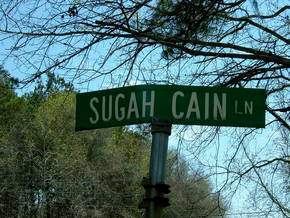 Illustration for article titled The World's Funniest Street Signs